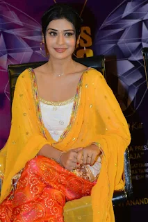 Actress Payal Rajput Stills From Disco Raja Movie Success Meet 