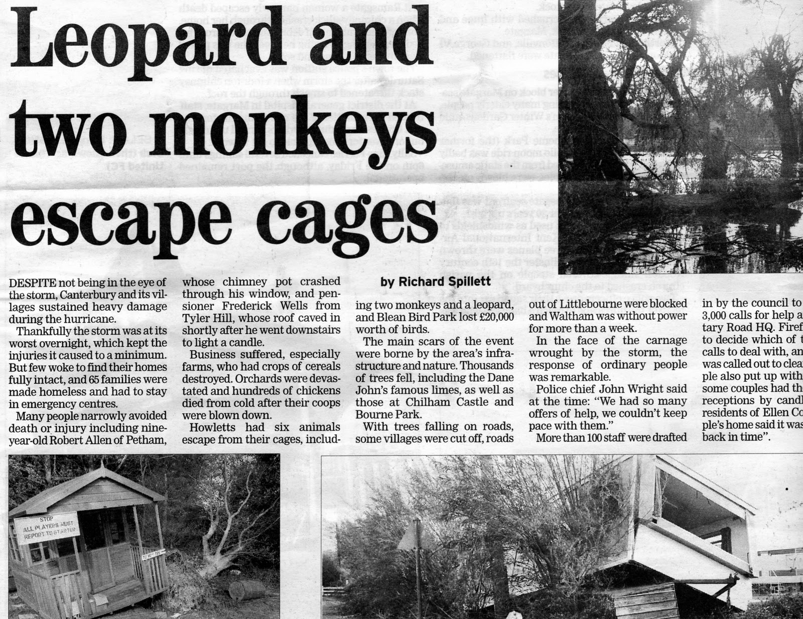 Forest wild animal best blog Dangerous wild animals act of 1976