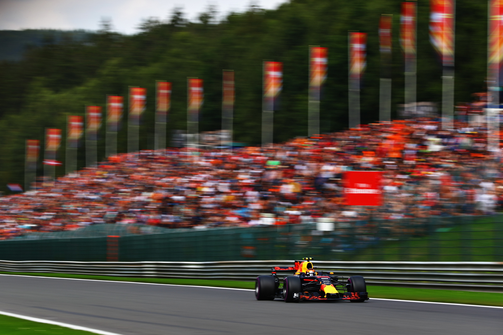 Verstappen Fans in Belgian Grand prix