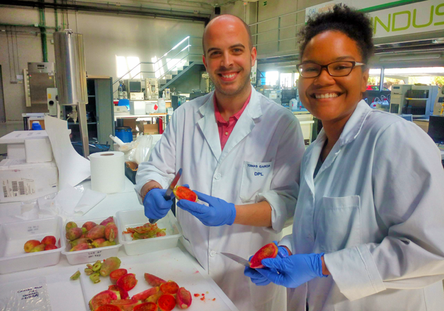 investigacion sobre higo chumbo y nopal