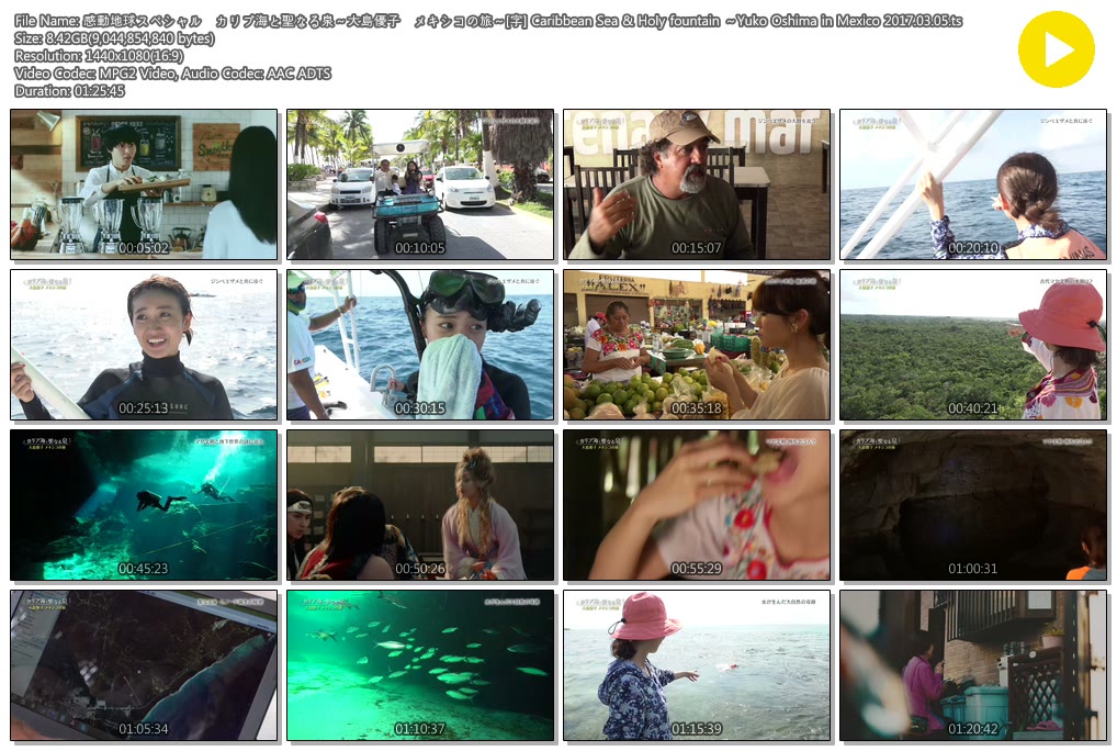 感動地球スペシャル カリブ海と聖なる泉 大島優子 メキシコの旅 字 Caribbean Sea Holy Fountain Yuko Oshima In Mexico 17 03 05 Ts 재팬 카테고리