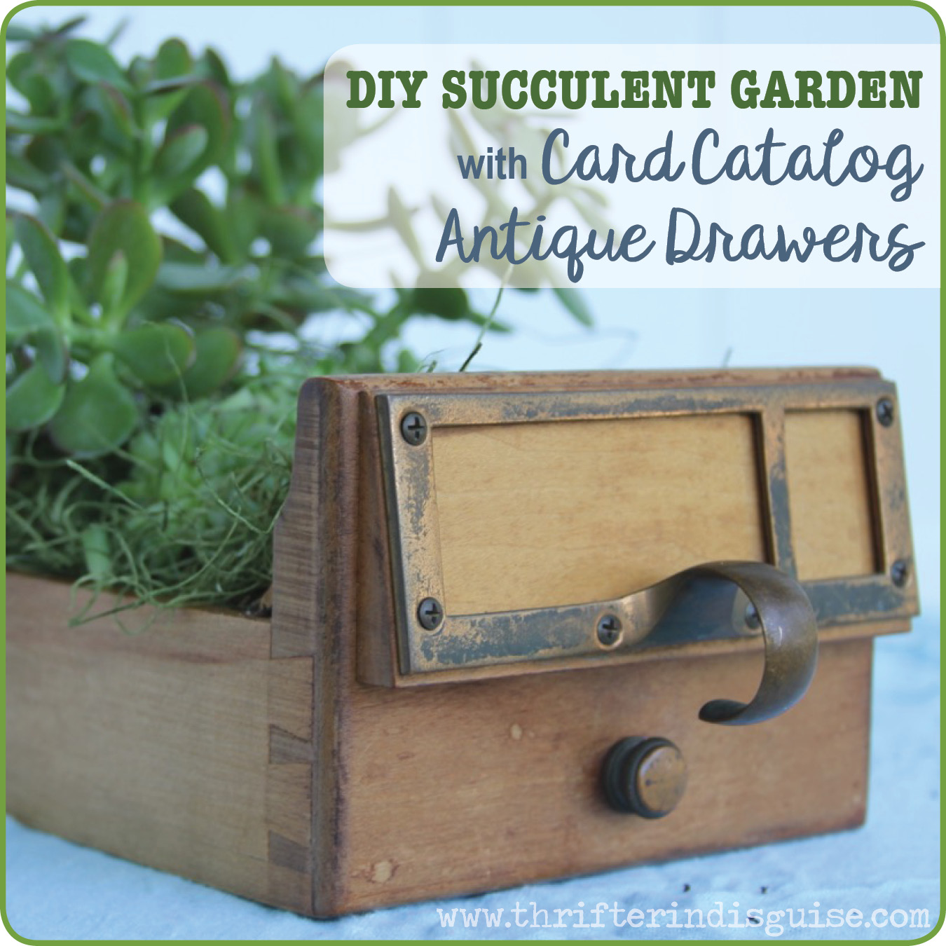 A Thrifter in Disguise Fab Ideas for Antique Card Catalog Drawers