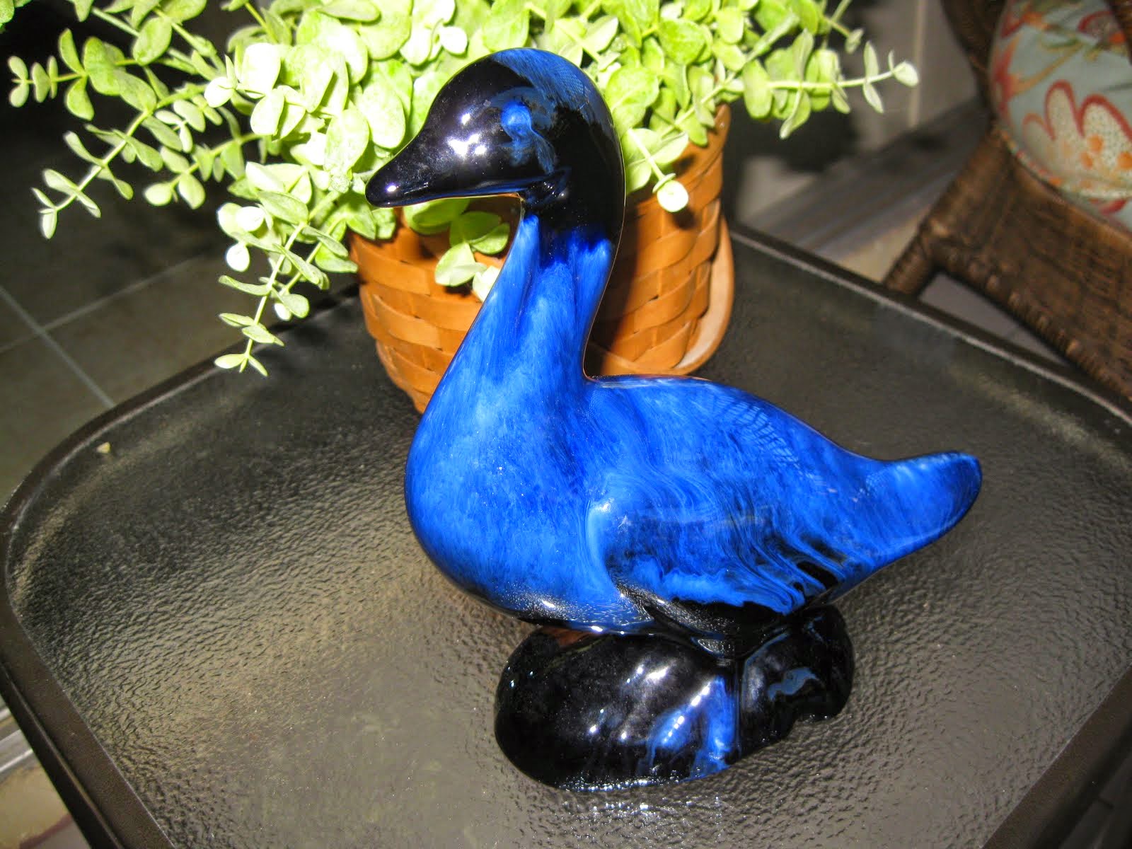 Blue Duck Days too!