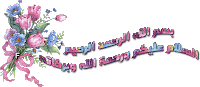 203233058.gif