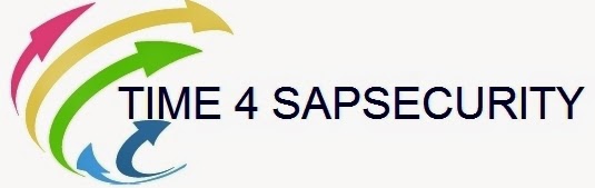  TIME 4 SAP SECURITY 