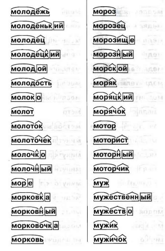 Разбор слова прибрежный