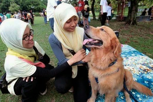 Saya Ragu Itu Kotoran Anjing Atau Bukan Referensi Muslim