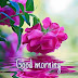 Top 10 good morning Images, Greetings, pictures for Whatsapp and bestwishespics