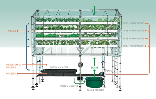 02-Damien-Chivialle-Container-Greenhouse-Urban-Farm-Units