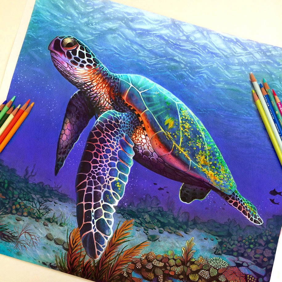 Amazing Colored Pencil Art