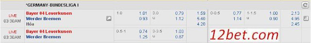 Chuyên gia cá độ bóng đá Leverkusen vs Bremen (02h30 ngày 11/3/2017) Leverkusen