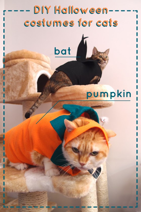 Paper Leaf DIY for cat Halloween costumes