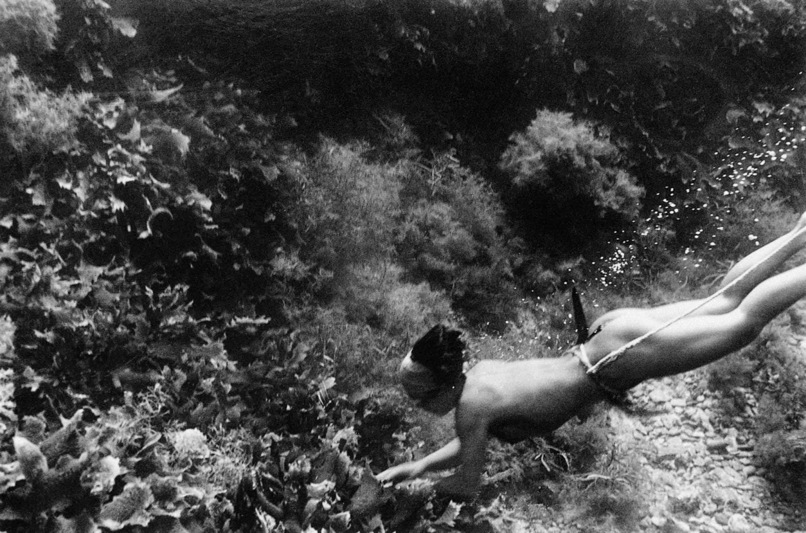 Traditional ama divers usually wore only a fundoshi (loincloth).