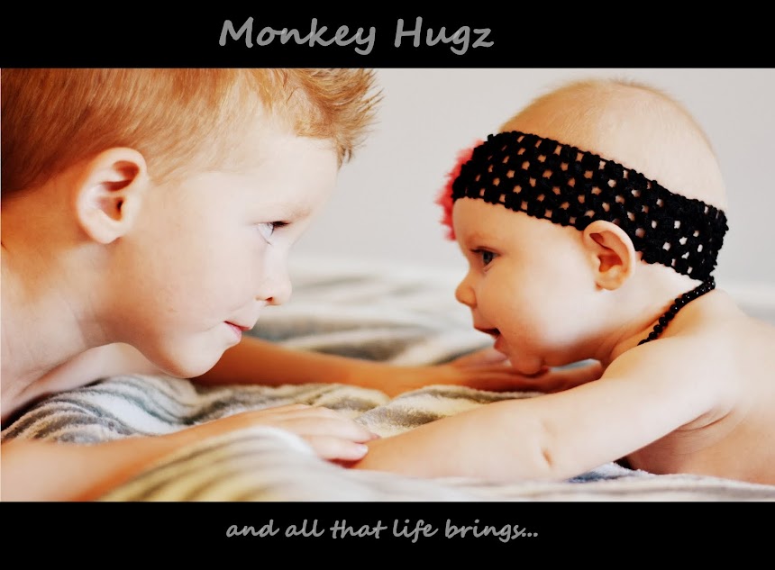 Monkey Hugz