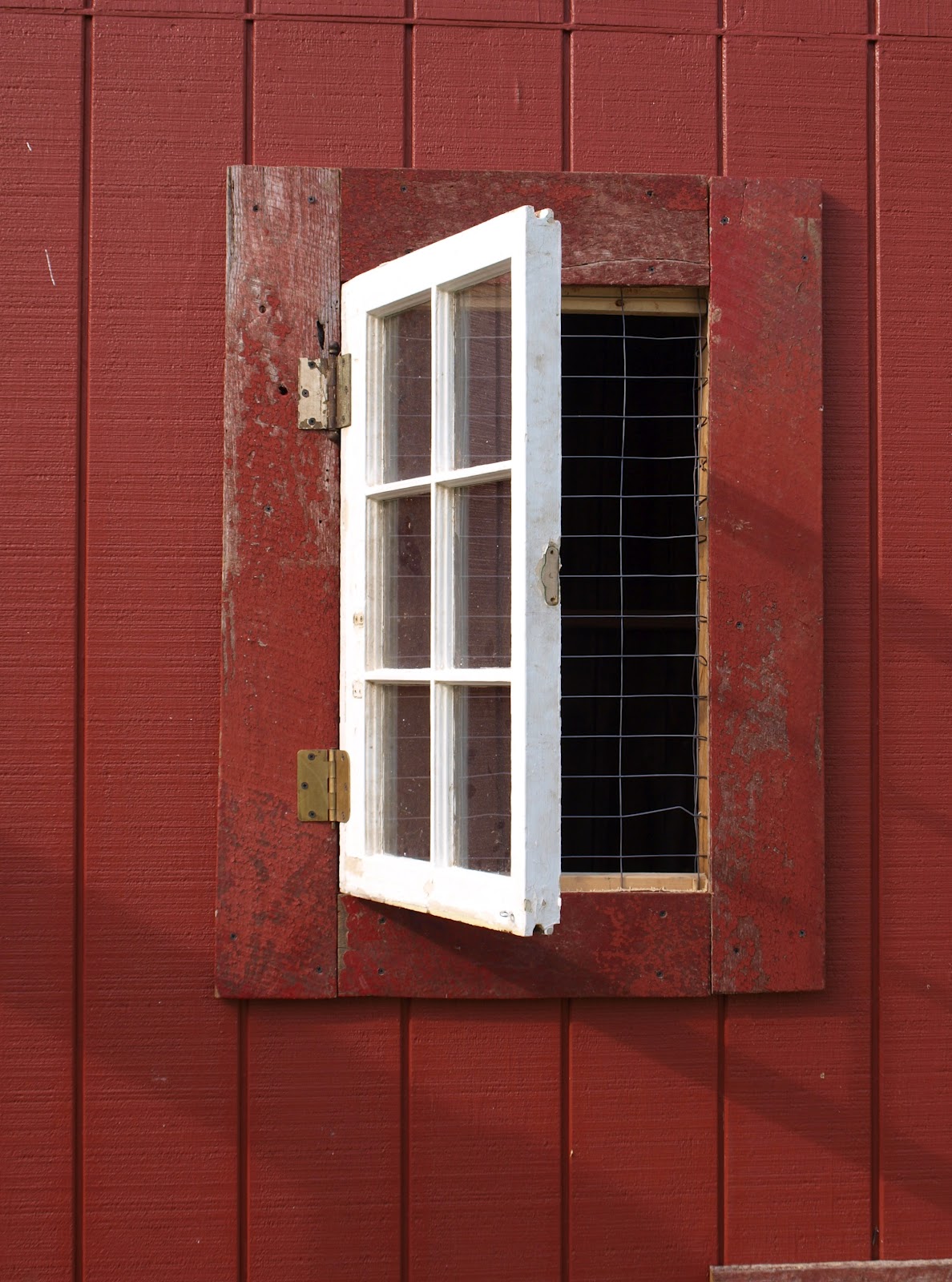 ohio thoughts: building a chicken coop