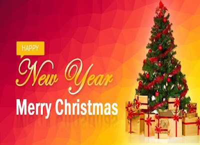 2017 Happy New Year and Merry Christmas