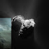  Muestran nueva imagen del paisaje del cometa 67P/Churyumov-Gerasimenko