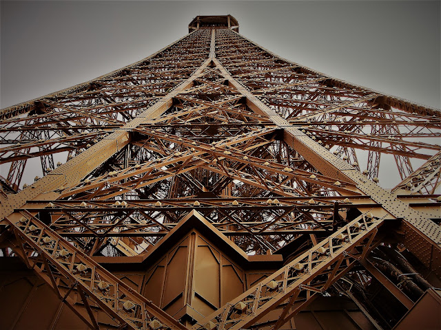 DSC08542%2B%25282%2529 Why didn't I buy Netflix when it was about $90 a share last February?