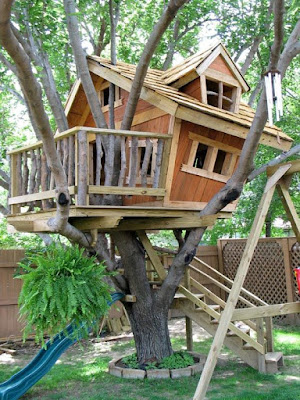 Desain Rumah Pohon
