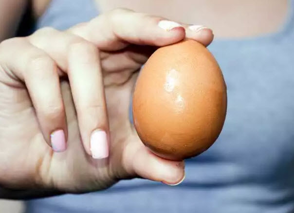 Cholesterol In Egg Yolk