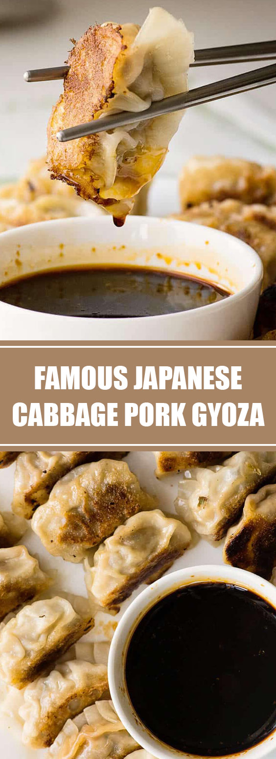 Famous Japanese Cabbage Pork Gyoza #pork #gyoza - Idn-timesnews