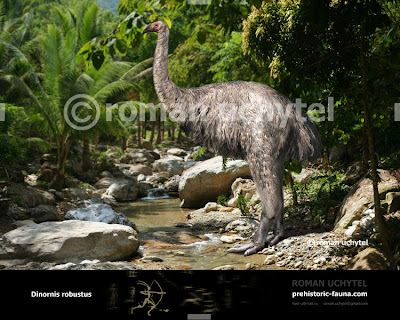 aves de hace miles de años Dinornis