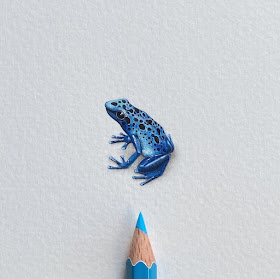 04-Blue-poison-arrow-frog-Lorraine-Loots-Tiny-Art-www-designstack-co