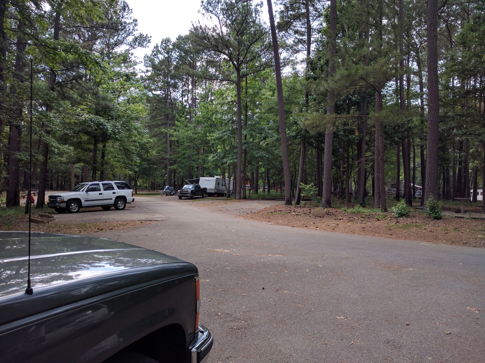 RV Travels in Retirement Piney Grove Campground