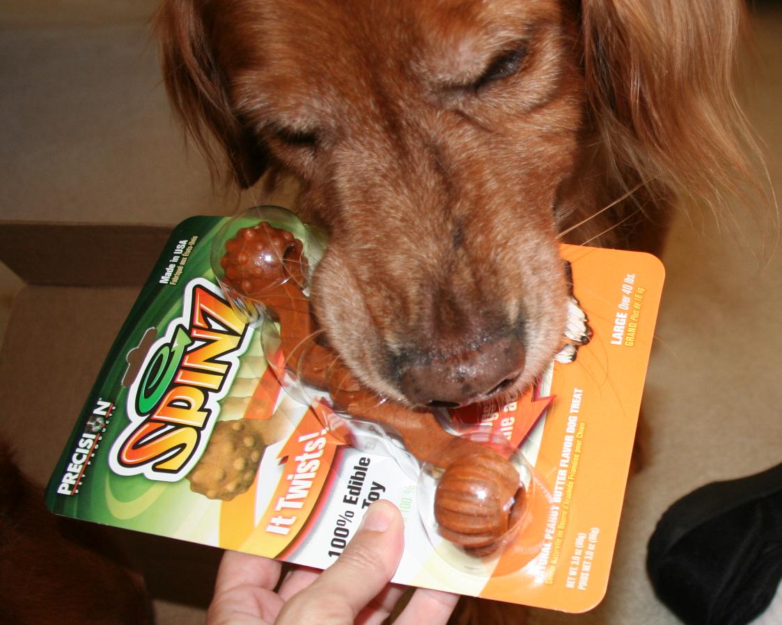 How Sam Sees It An injury, a Bark Box, and freshly washed stuffies