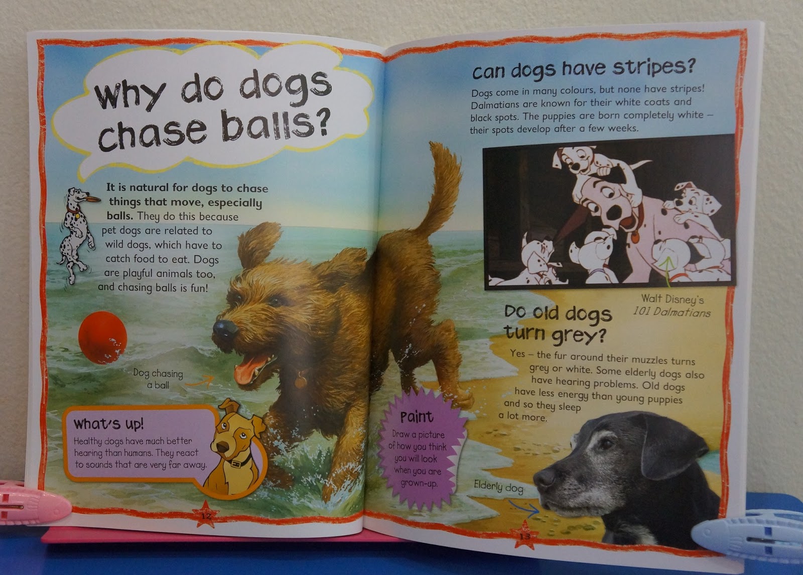 Book Why Do Puppies Chew? NINOS SHOP