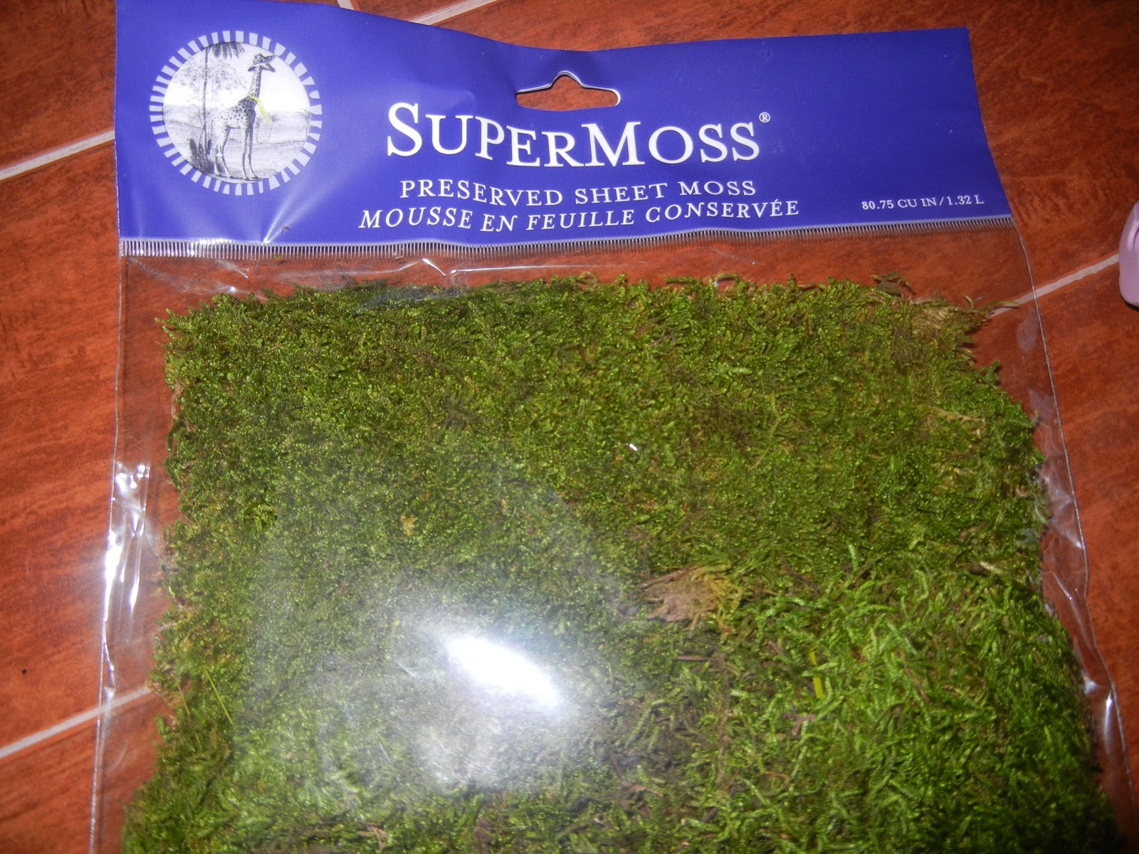 The Life of Mrs. Martinez Moss Covered Initial