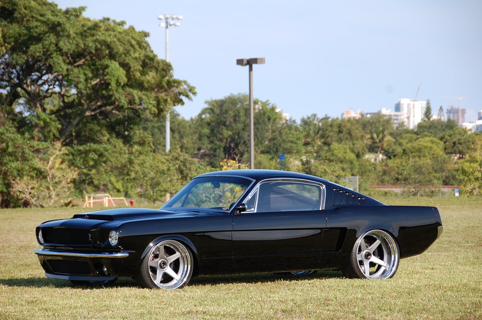 1965 Ford Mustang Fastback Pro Touring For Sale American Rank O Man