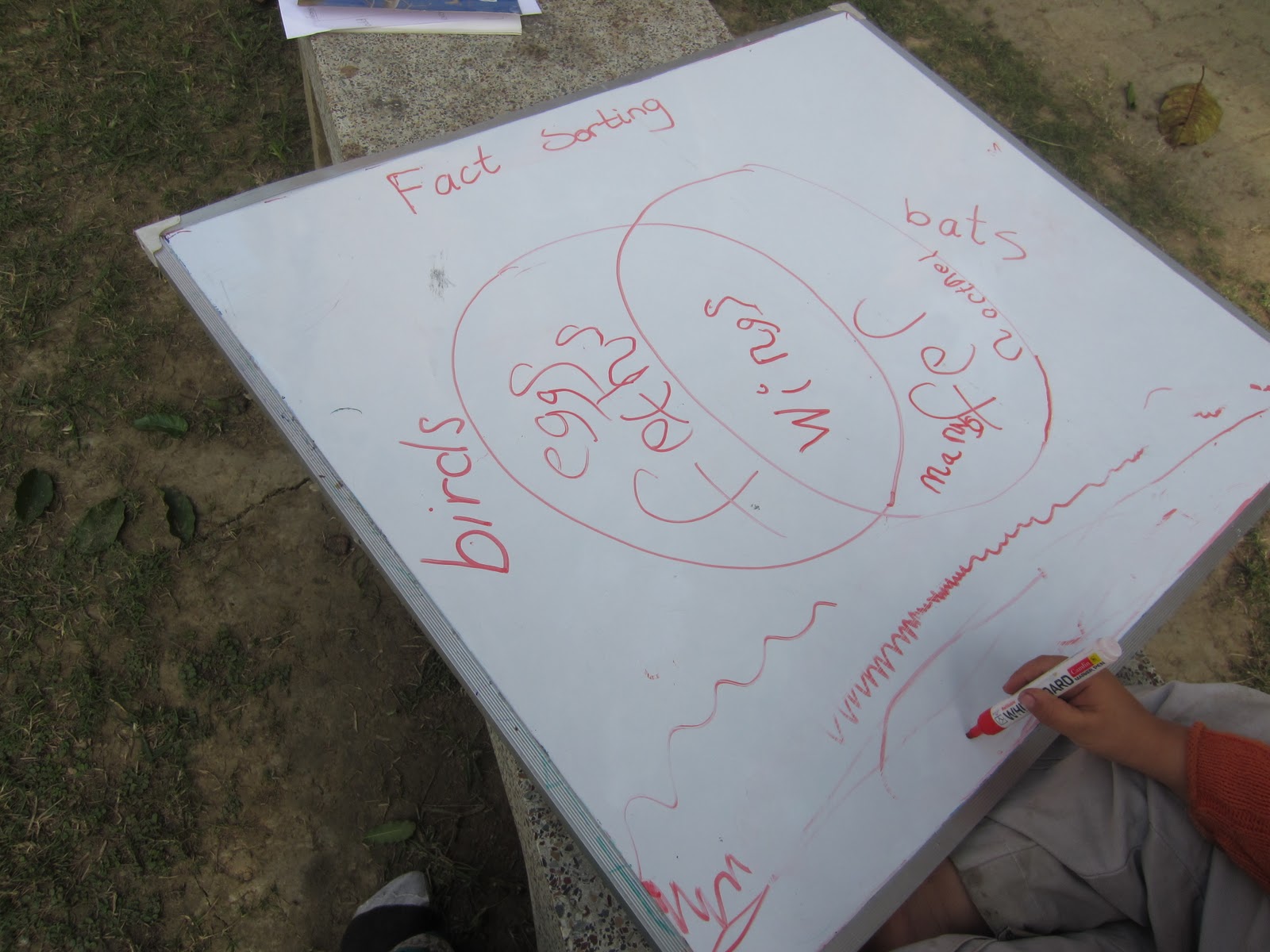 Learning in Mayapur: Stellaluna a Venn Diagram and a Book Review