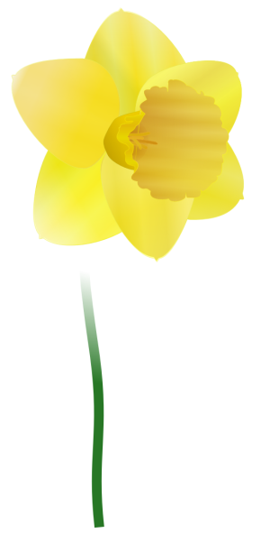 daffodil flower clip art free - photo #22