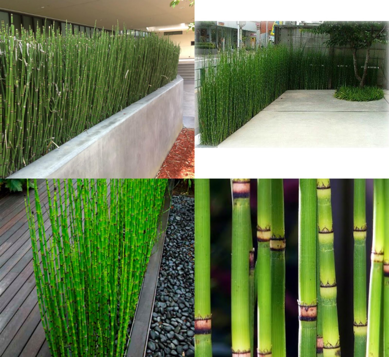 Flora Ekspres Akcija Jesenje Kupovine Katalog 21 09 2015 31 10