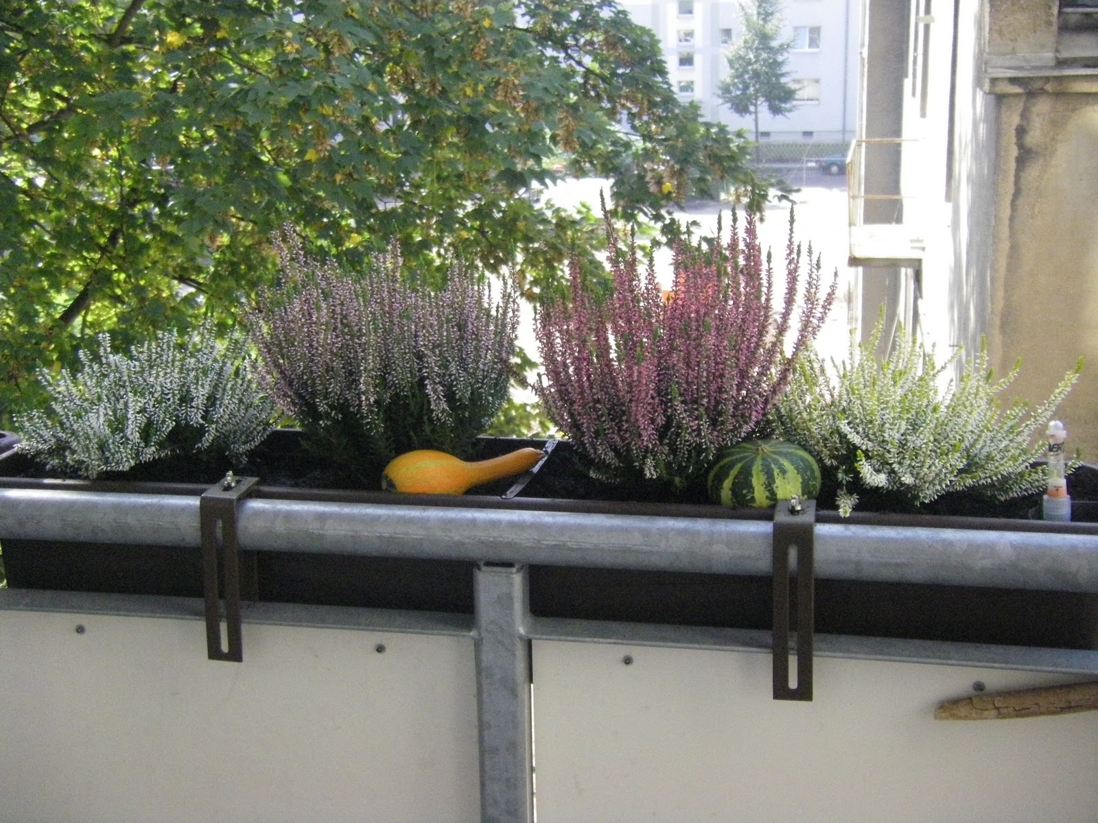 1001 Idee Herbst auf dem Balkon