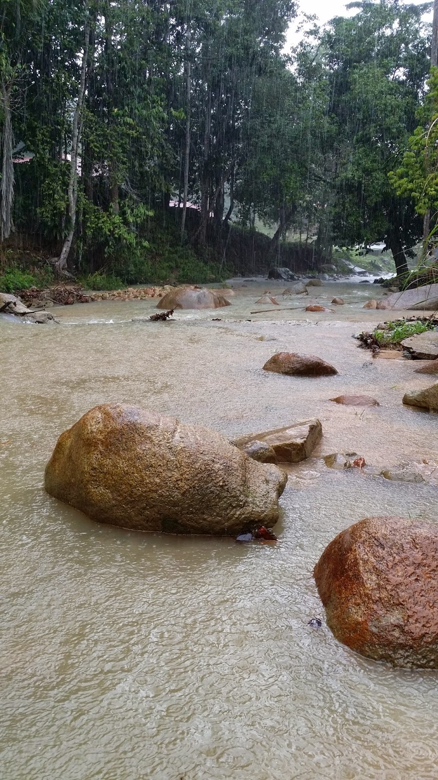 Title for picnic essay picture