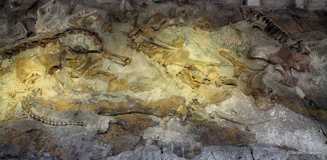 Dinosaur National Monument Utah geology fossils travel rocks hiking camping outdoors scenery copyright RocDocTravel.com