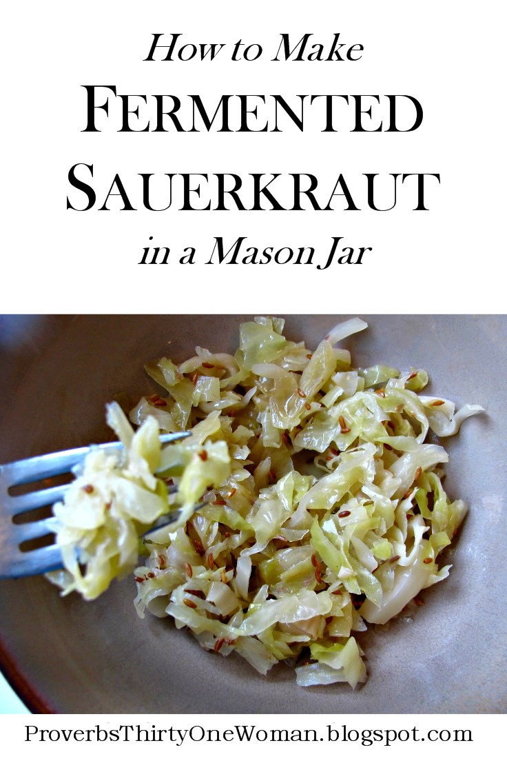 How to Make Small Batch Fermented Sauerkraut in a Mason Jar Proverbs 31 Homestead