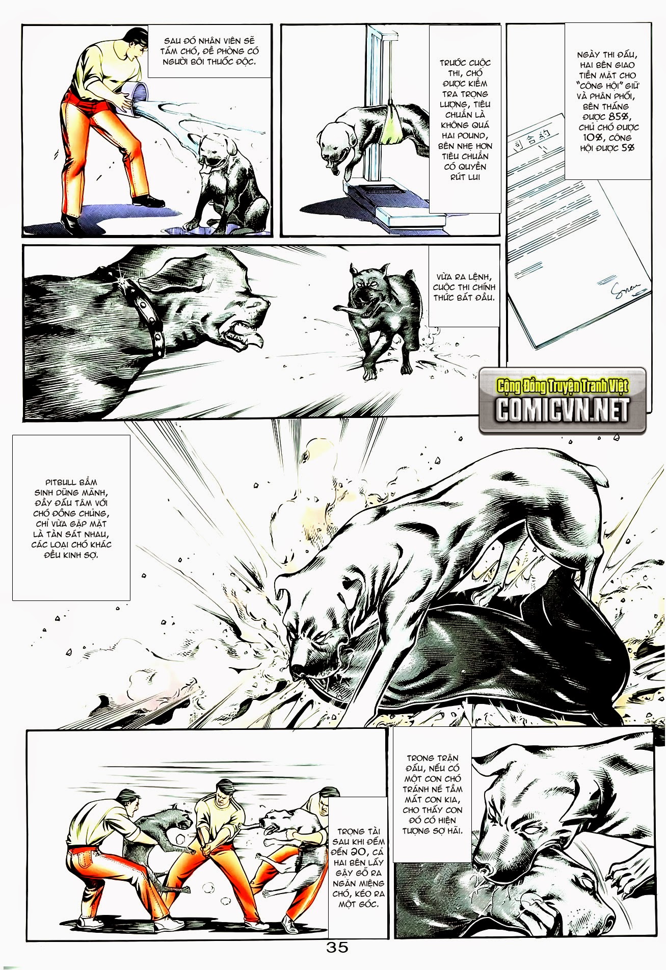 Người Trong Giang Hồ chap 49 - Trang 3