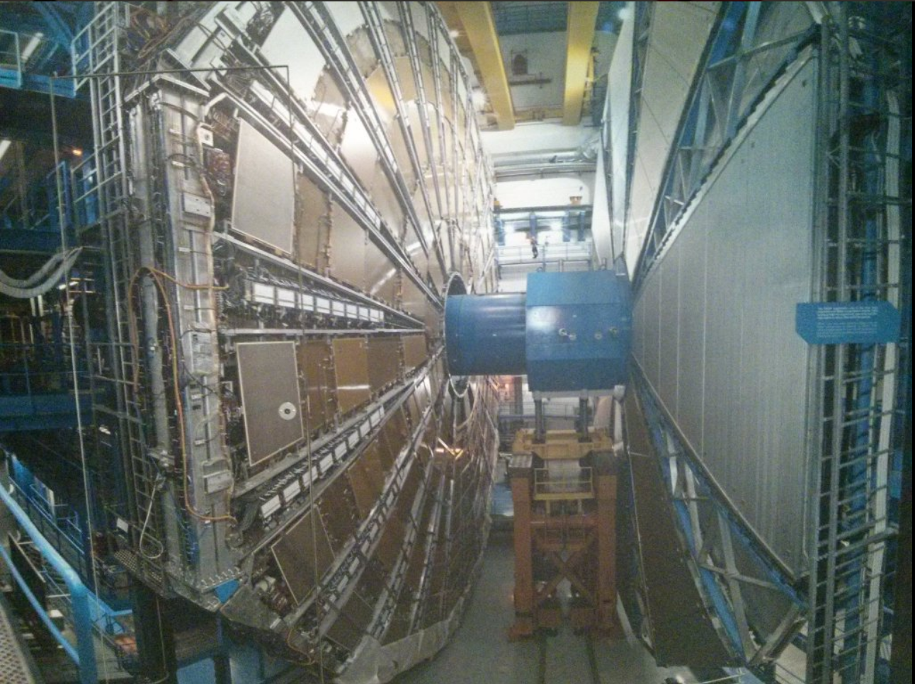 Rosy Carrick Time Traveller Time Travel Update CERN, Year Solver