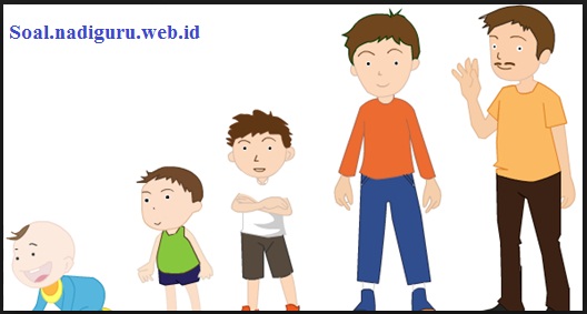 tahapan pertumbuhan dan perkembangan bayi tahapan pertumbuhan dan perkembangan bayi