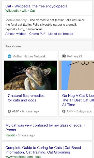 cat google amp