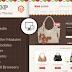Magento Responsive Template for Bags, Shoes or Clothes Stores