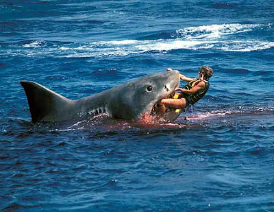 Such News Second Australia Shark Attack