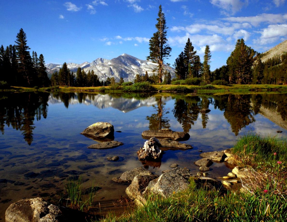 Landscape wallpaper   Splendid Wallpaper HD