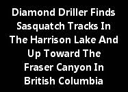 Diamond Driller Finds Sasquatch Tracks At The Harrison Lake B.C.