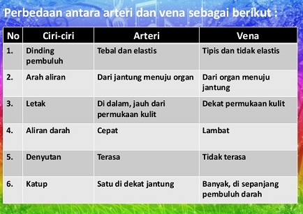 Tabel Perbedaan Pembuluh Nadi Dan Pembuluh Balik Terkait Perbedaan Tabel Perbedaan Pembuluh Nadi Dan Pembuluh Balik Terkait Perbedaan