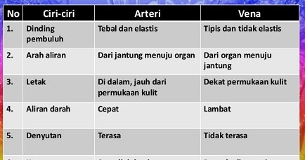 Perbedaan Pembuluh Darah Arteri Dan Vena Cara Golden Perbedaan Pembuluh Darah Arteri Dan Vena Cara Golden