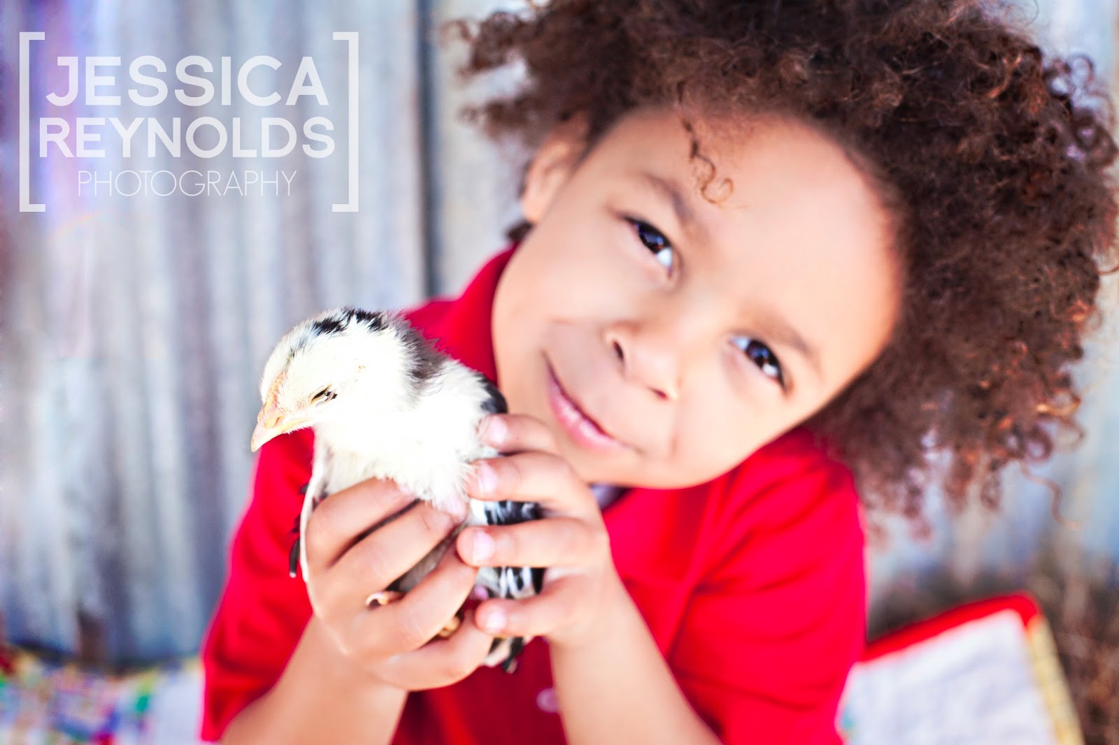 Jessica Reynolds Photography